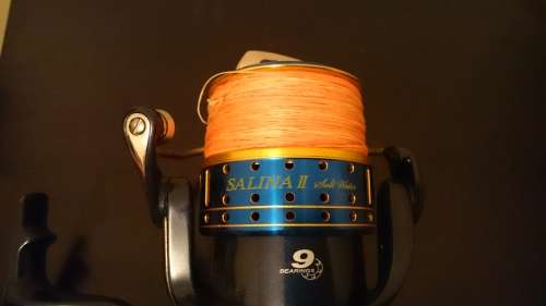 Okuma Salina 2